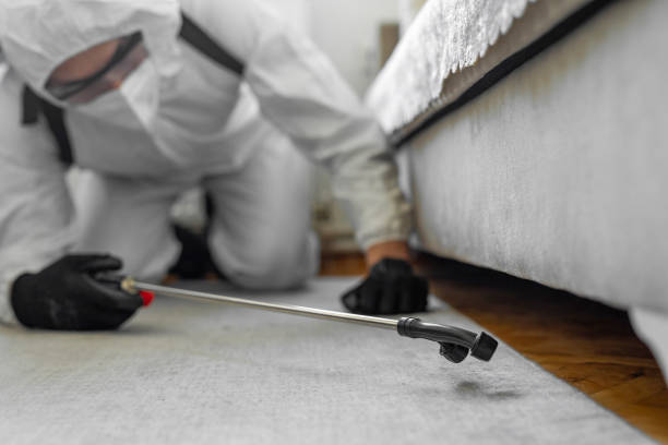 Professional Mosquito Control technician working in Hackberry, TX