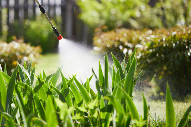 24/7 Emergency Mosquito Control experts in Hackberry, TX