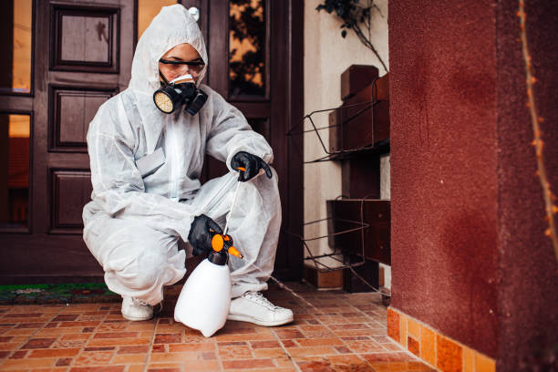 Reliable Mosquito Control contractor in Hackberry, TX by Nex Pest Control